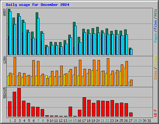 Daily usage for December 2024