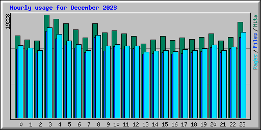 Hourly usage for December 2023