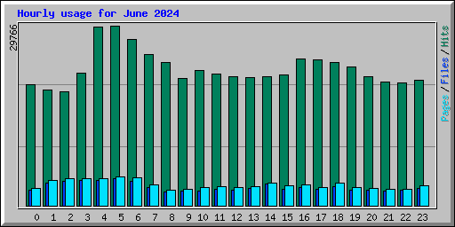 Hourly usage for June 2024