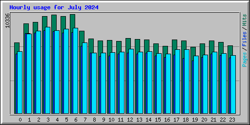 Hourly usage for July 2024