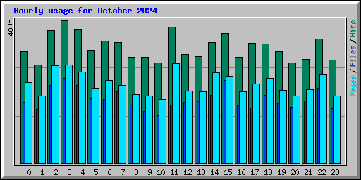 Hourly usage for October 2024