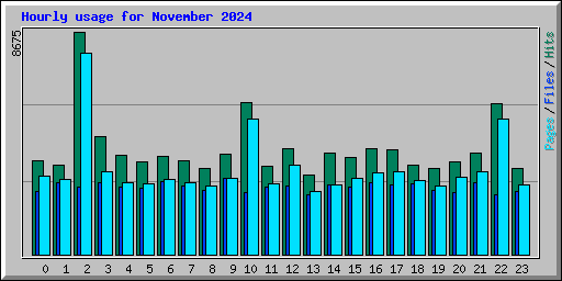 Hourly usage for November 2024