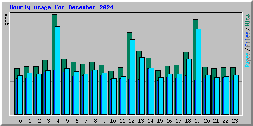 Hourly usage for December 2024