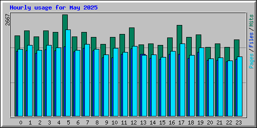 Hourly usage for May 2025