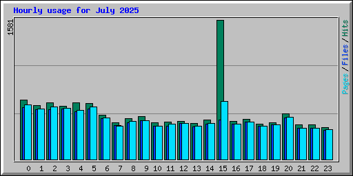 Hourly usage for July 2025