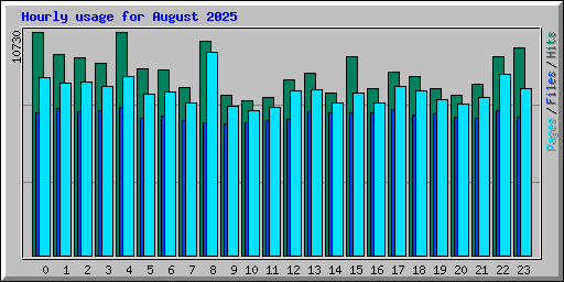 Hourly usage for August 2025