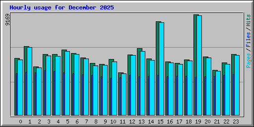 Hourly usage for December 2025