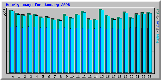 Hourly usage for January 2026