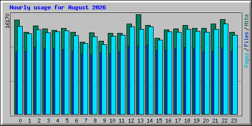 Hourly usage for August 2026